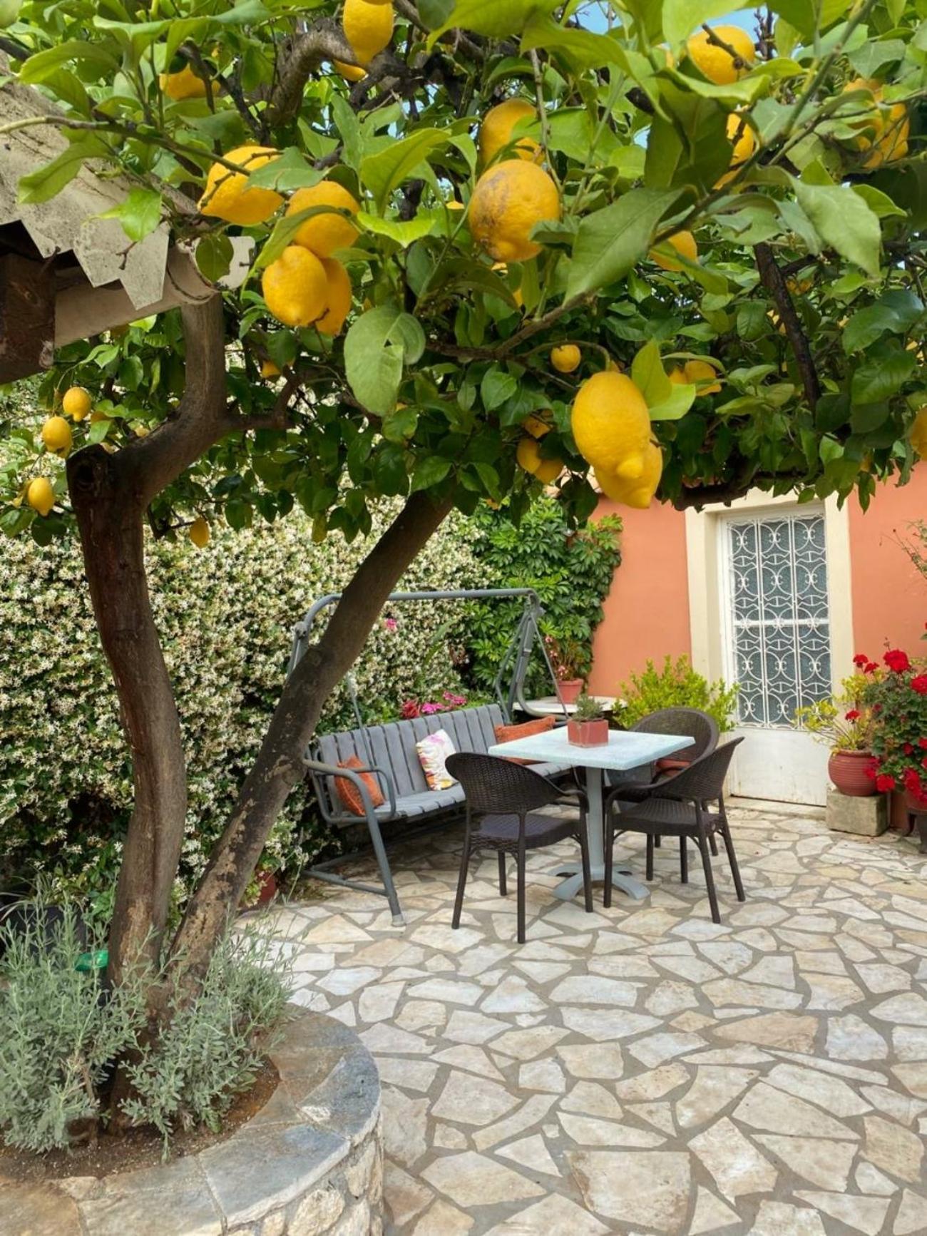 Lori House In Corfu. Feel Like Your Holiday home Skriperon